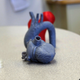 Other 3D models printed by Goldstein’s team.